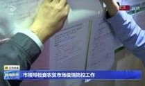 珠海新闻爆料视频,视频揭露事件真相，引发社会关注