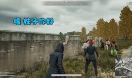 砀山最新事件爆料,揭秘背后真相，引发社会关注